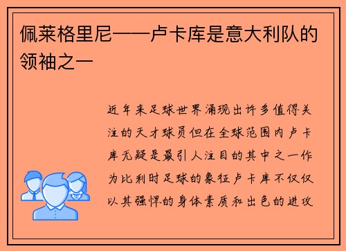 佩莱格里尼——卢卡库是意大利队的领袖之一